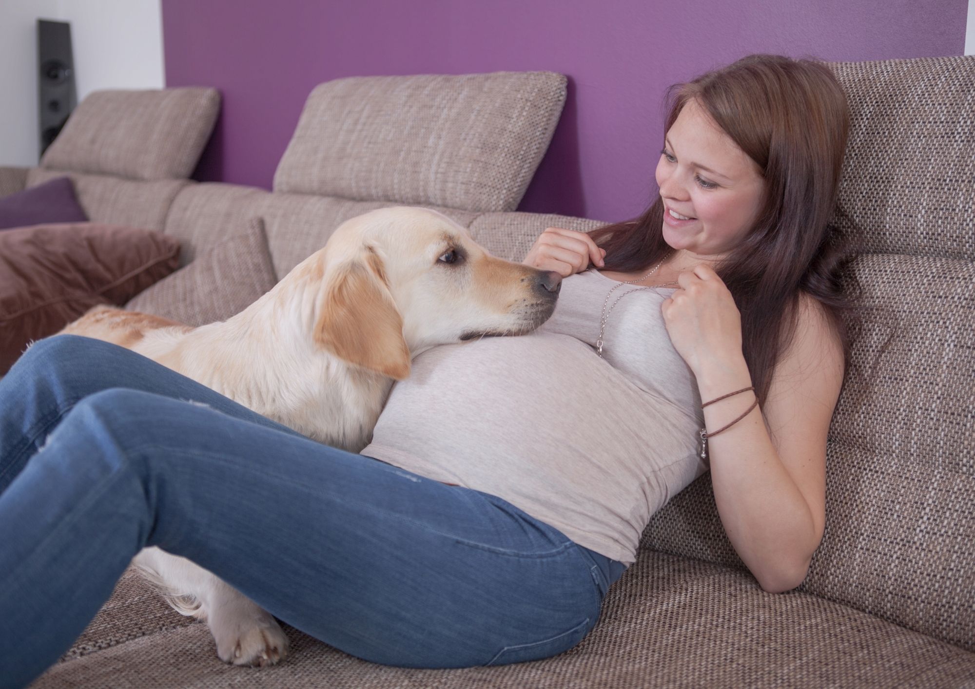 Curso Embarazo, perros y gatos